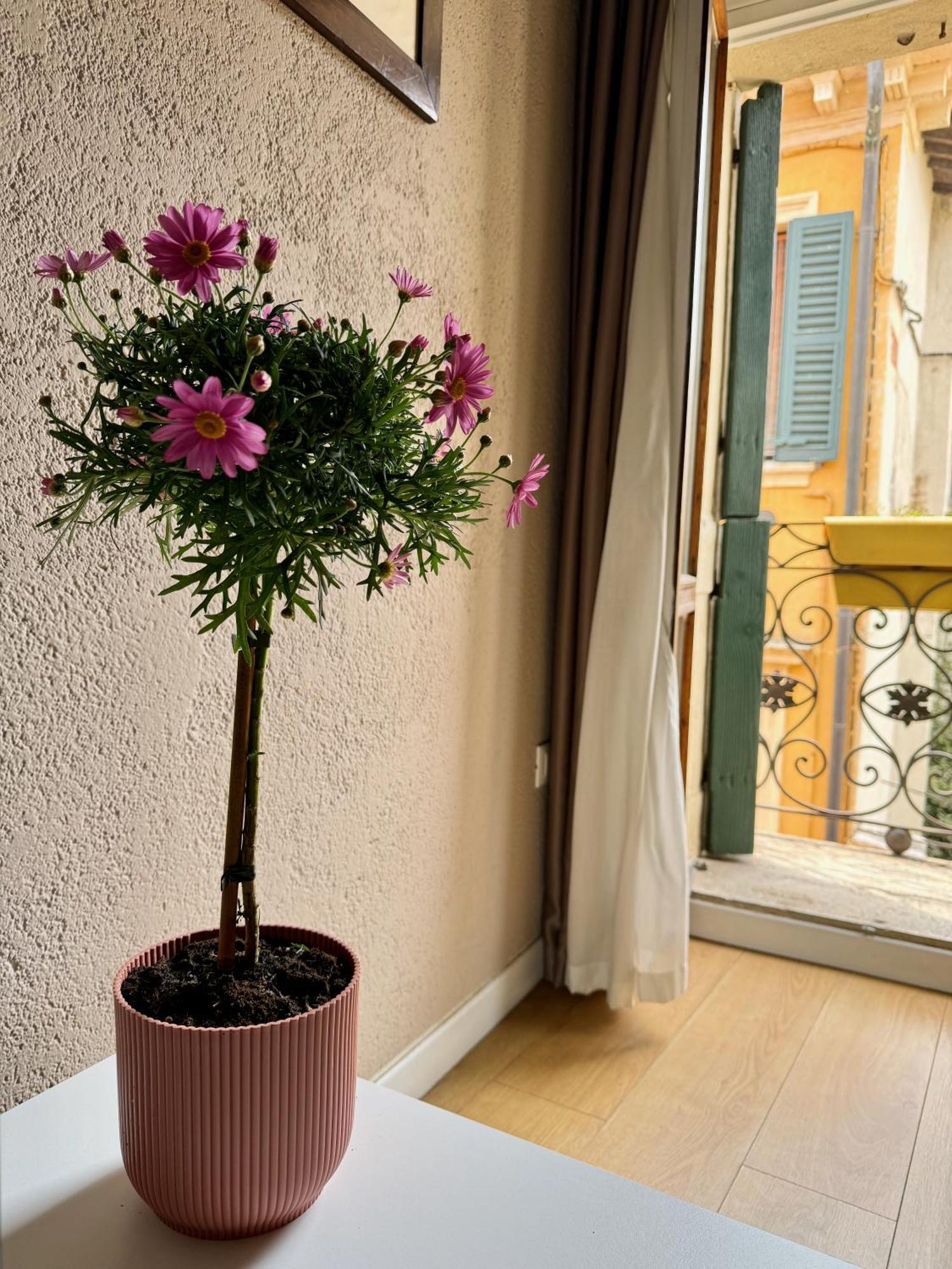 Domus Suites فيرونا المظهر الخارجي الصورة